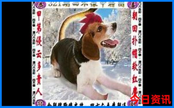 夏季旅游攻略必去景点